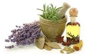 درمان گیاهی کبد چرب نی نی سایت