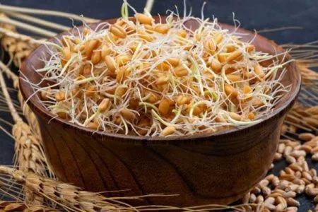 خواص جوانه گندم با عسل