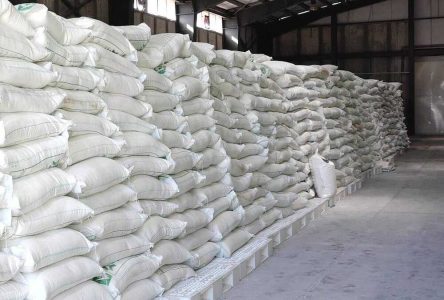 کشف 100 تن برنج احتکارشده در جنوب تهران