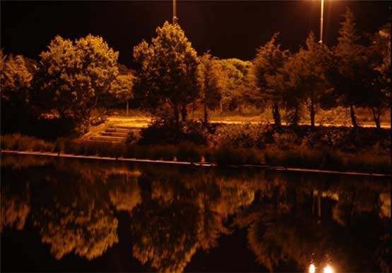 مکان های دیدنی مشهد در شب