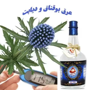 خواص عرق بوقناق برای دیابت