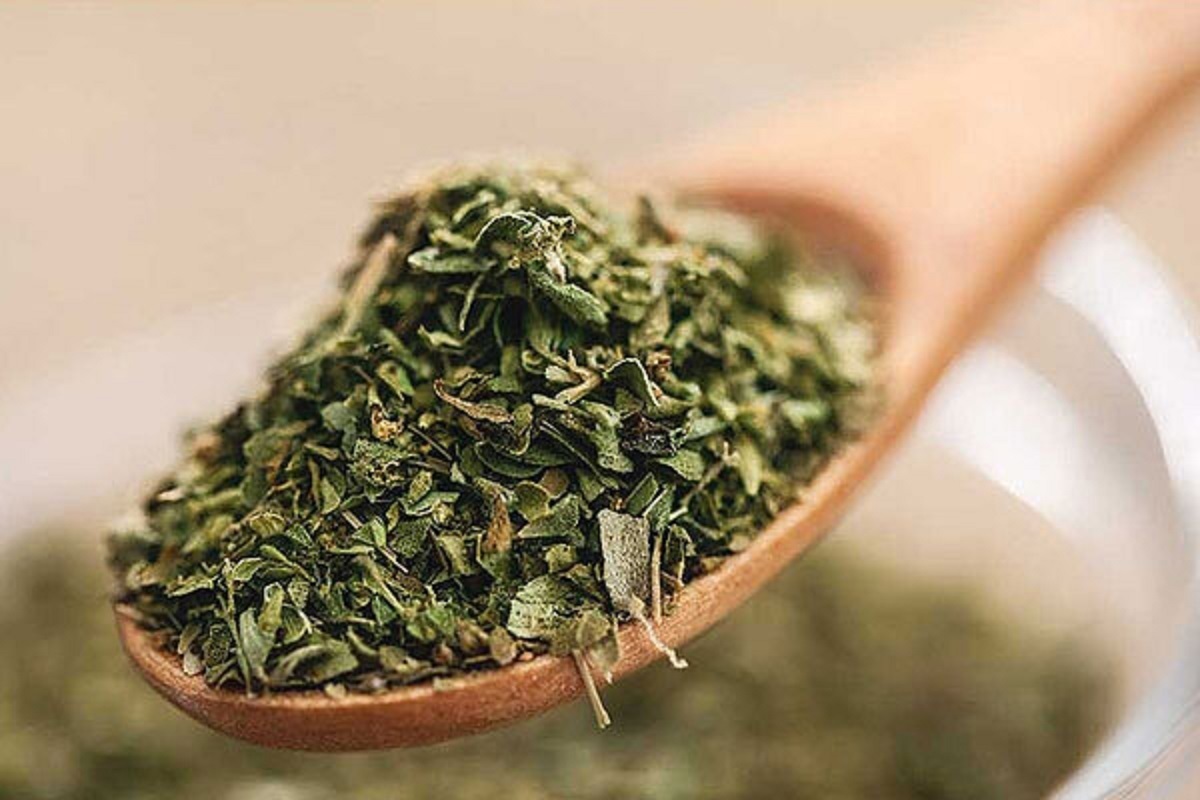 بدن | روغن فواید و خطرات روغن پونه کوهی برای بدن