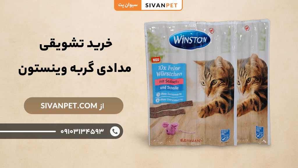 مزایای خرید تشویقی مدادی گربه وینستون 